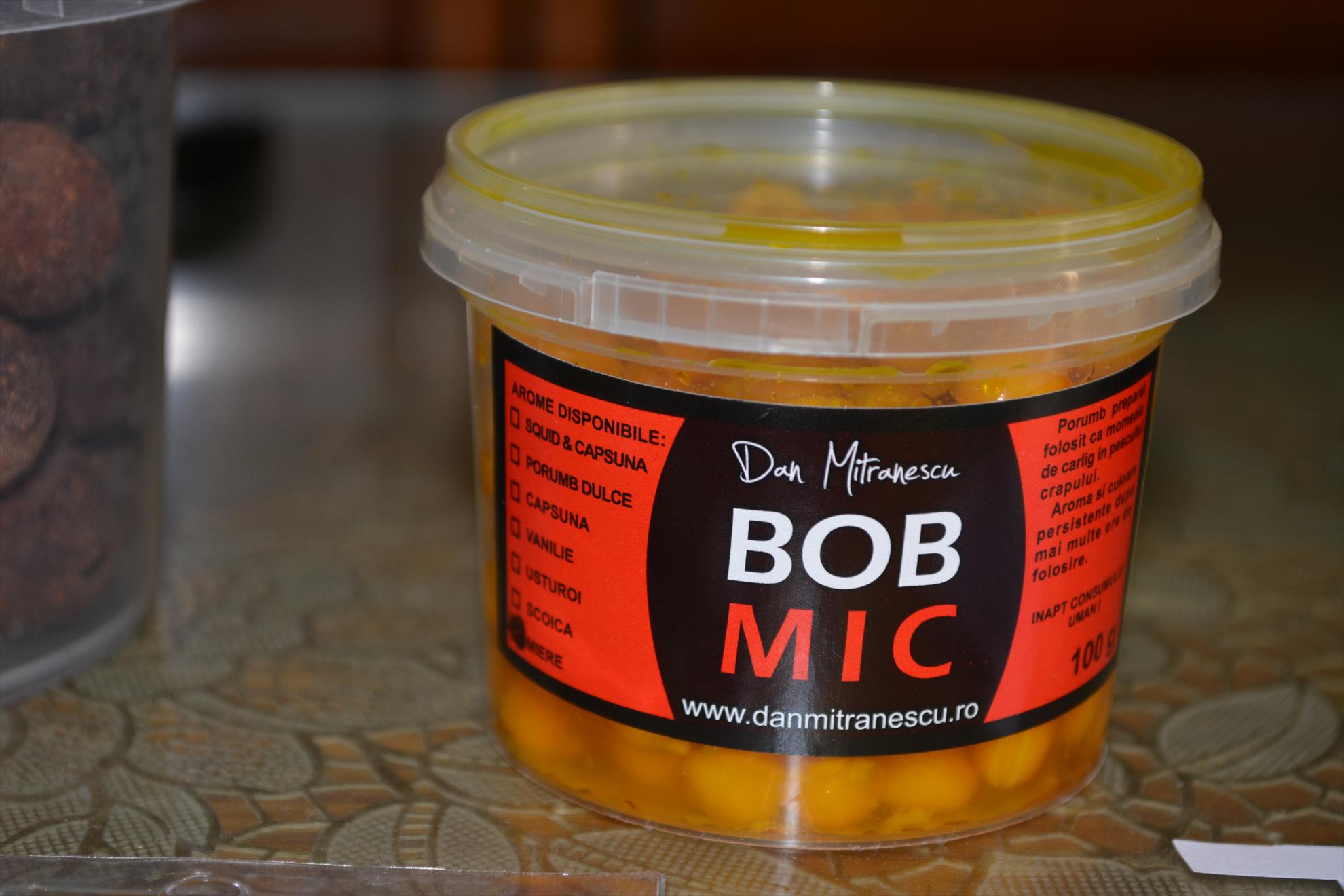 Pregatiri pentru concurs - dsc0003.JPG